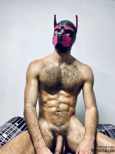 The Pig Stallion OnlyFans [2020,Gay Unusual]