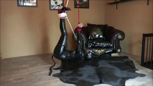 New Only Best Magic Sweet Collection Of Bondage Education. Part 3. [2020,BDSM Latex]