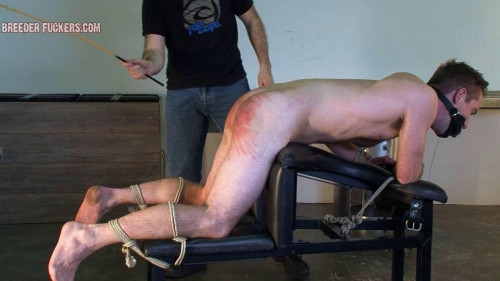 The best collection 16 Clips Gay BDSM Straight Hell. [2022,Gay BDSM]