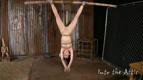 Mega Magic Sweet Wonderfull Vip Collection Of Into The Attic. Part 1. [2022,BDSM]