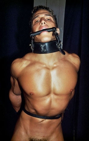 Tom Ropes McGurk - Collection of bdsm films [2001,Gay BDSM,spanking,electro,studs/hunks]