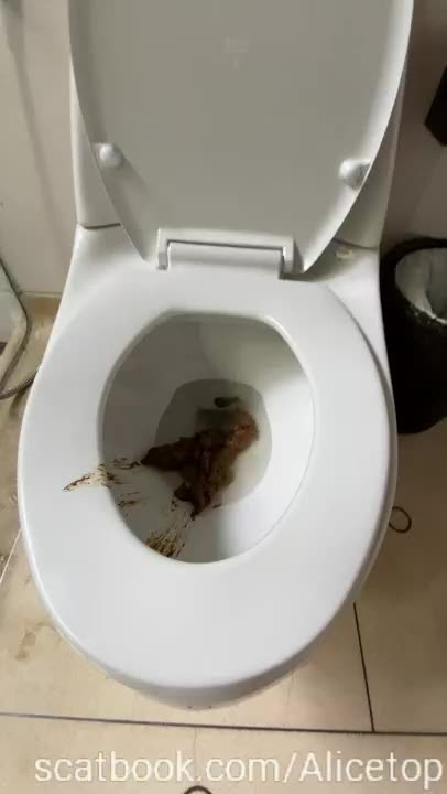 Alice Top -  Fat poo stained the toilet seat