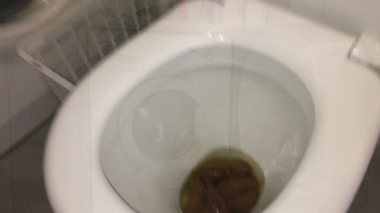 Alice Top -  Sooo big poops in the new toilet