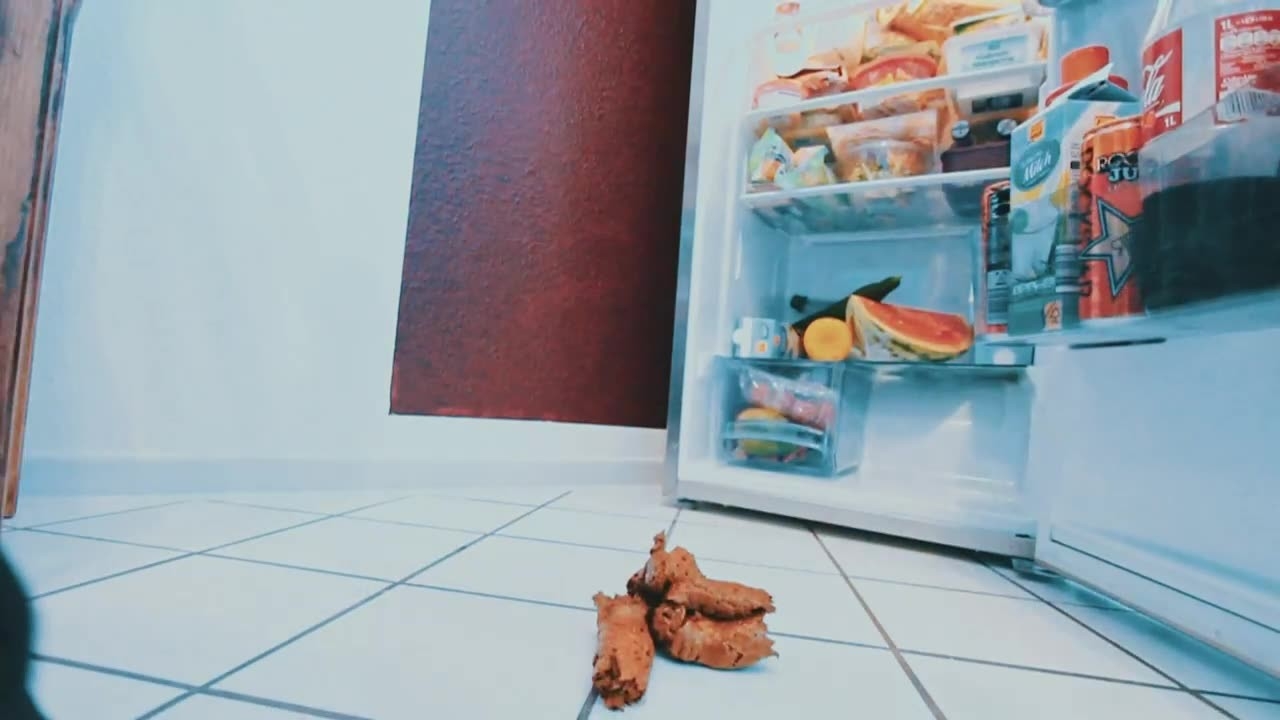 Mia Skye -  Poop for my fridge