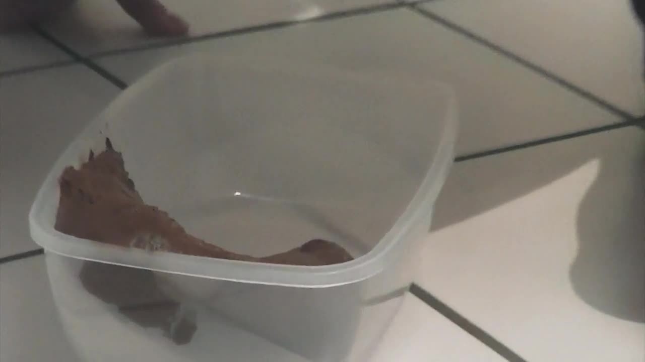 Mia Skye -  Shipping for a fan