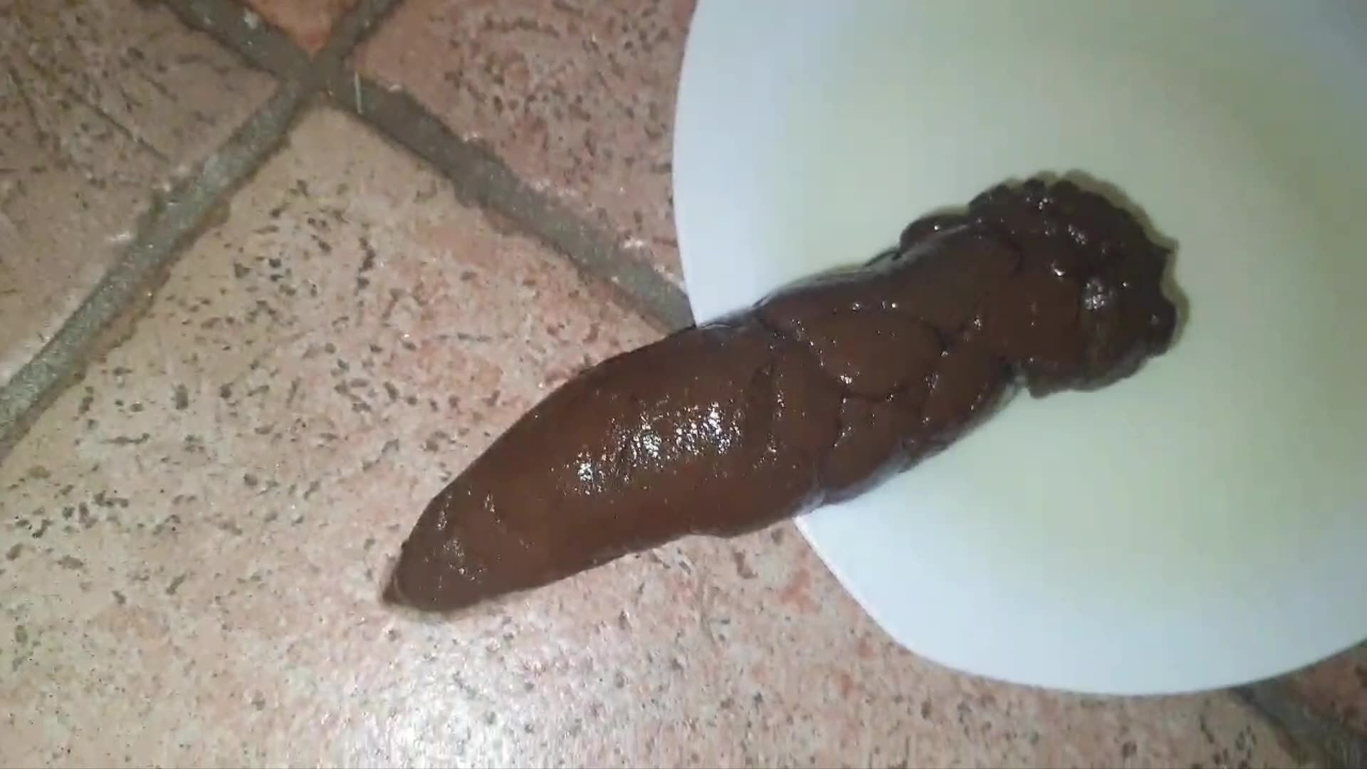 Versauteschnukkis – Milf poops on plate