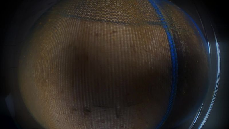 DirtyBetty – King size female monster poop DirtyBetty – King size female monster poop