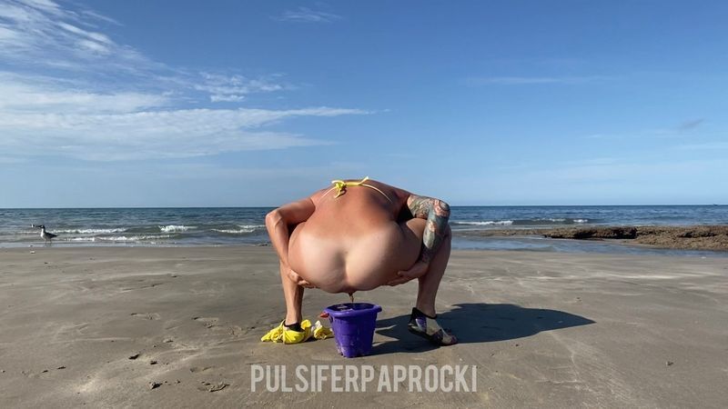 PulsiferPaprocki – Beach Bucket Poop