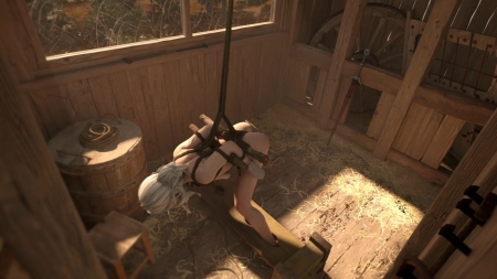 Ciri Cottage Predicament Part 1 [Fatcat17] [hd 3d Animation Porn]