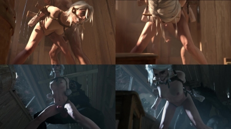 Ciri Cottage Predicament Part 1 [Fatcat17] [hd 3d Animation Porn]