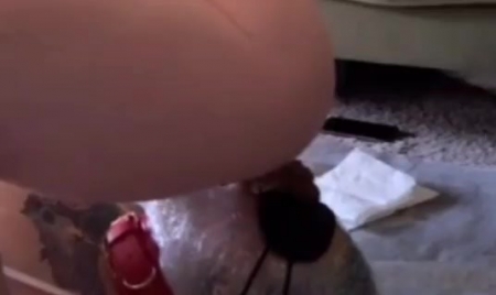 Portapottyqueen – Masters Little Toilet Choked On His Massive Shit [pooping Porn And Diarrhea Sca...