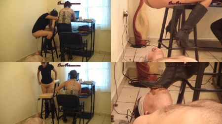 Dom Princess Porn - Princesses Household Toilet Slave Part 2 Britany Mistress Dom Princess Porn - Princesses Household Toilet Slave Part 2 Britany Mistress