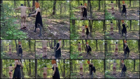 Lady Dark Fairy - I Found This Poor Guy In Between Trees And I Just Made His Day Better