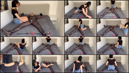 Jolieberrie – Cute Cruel Chastity Tickling Torment – Part I Jolieberrie – Cute Cruel Chastity Tickling Torment – Part I
