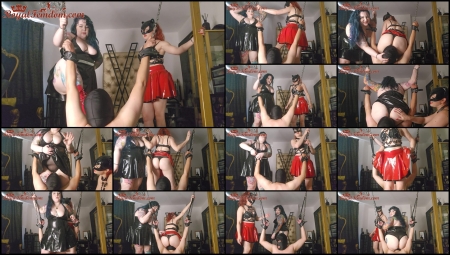 Royal Femdom - Extreme Face Riding For Eddy Royal Femdom - Extreme Face Riding For Eddy