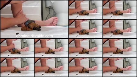 Mistress Zaida – You're Just A Fucking Toilet