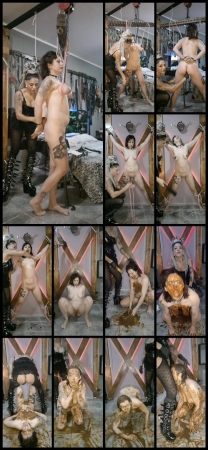 Lilixxxfetish Scatlover – Full Bdsm & Human Toilet Slave For Mistress Needs