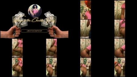 Watchmarleypoop – Everyday Poop Watchmarleypoop – Everyday Poop