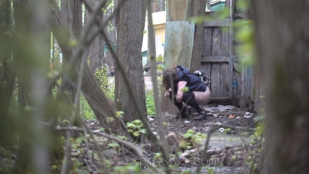 Pisswc 281  Voyeur   Pisswc