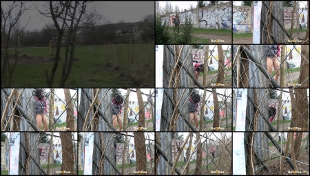 Peeing Through The Fence