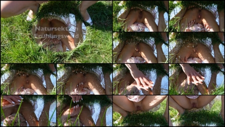 Ginatomic – Piss In The Spring Forest Ginatomic – Piss In The Spring Forest