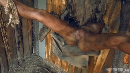 Horrorporn – The Beast From The Woods