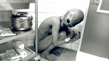 Horrorporn – Roswell Ufo